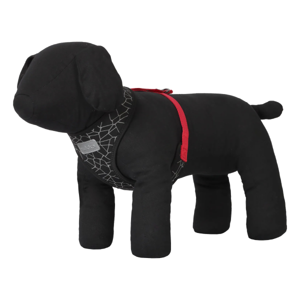 Rukka Cube Mini suņu iemaukti Black